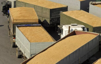 Украина отказалась подписывать прямое соглашение с РФ на вывоз зерна