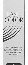 Краска для бровей и ресниц, № 1 черный / Lash Color 15 мл