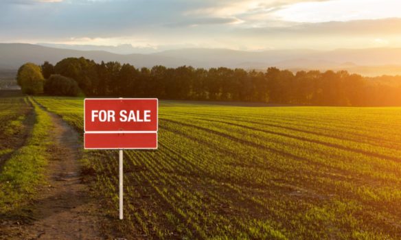 Что следует знать о покупке земельного участка для коммерческих целей?